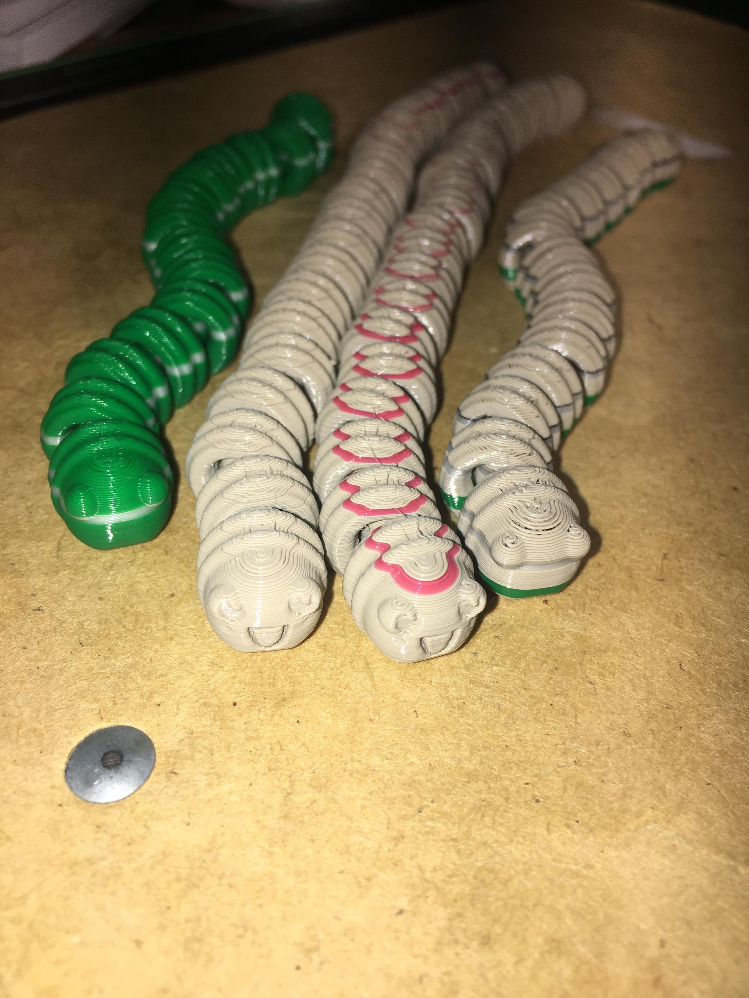 Fidget Worms - So cheery.  - 3d model