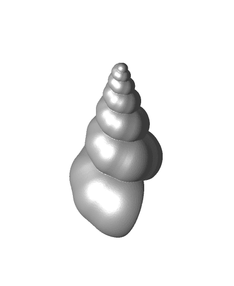 Turritellid Seashell (short) 3d model
