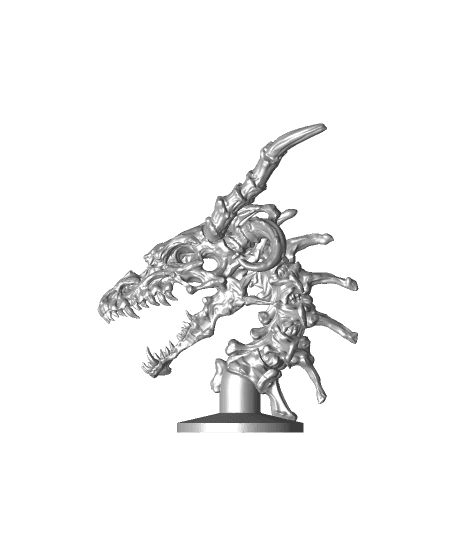 Dragon Skull - Open Jaw - Decoration 3d model