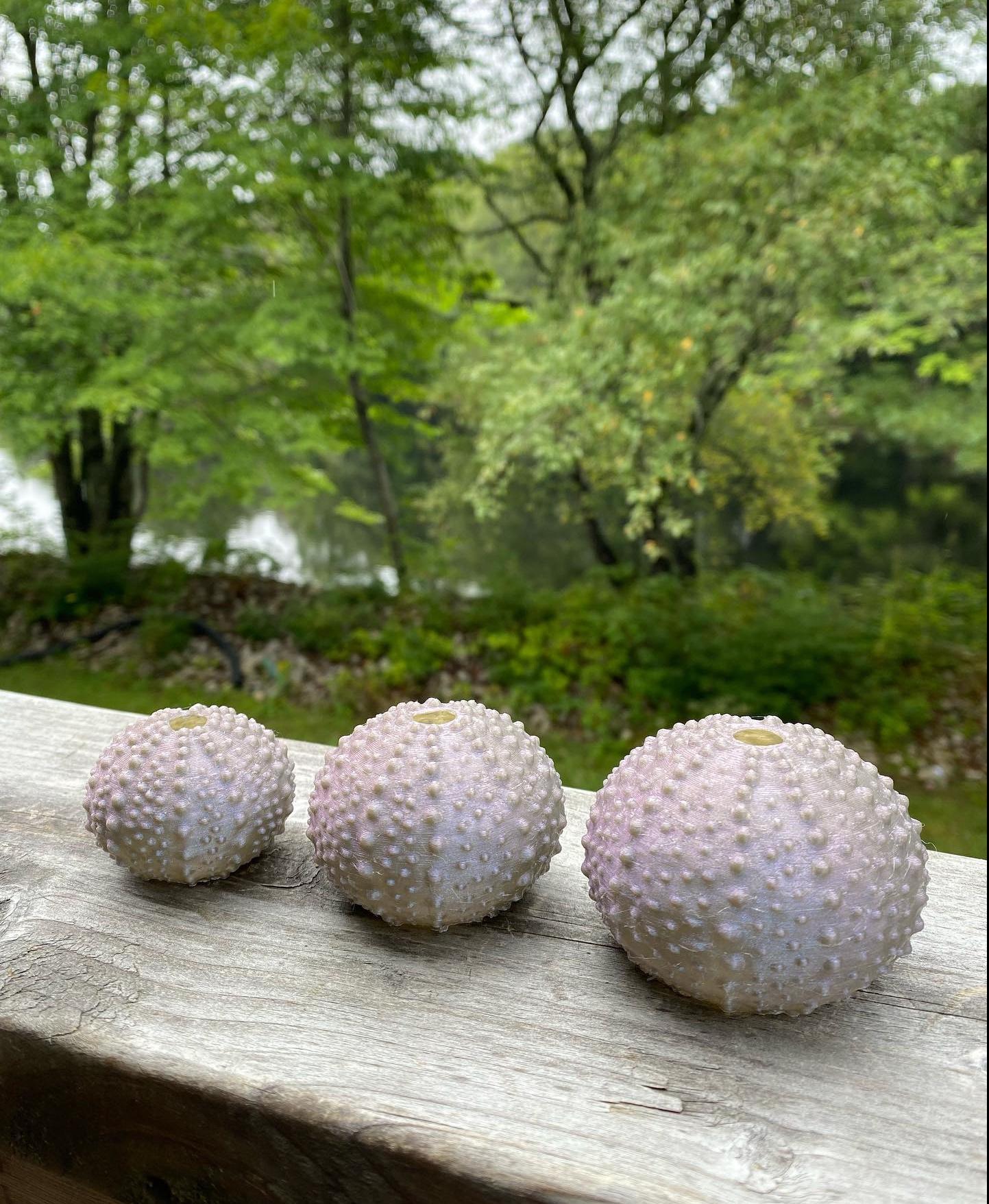 Sea Urchin Shells (Bumpy) - I had no idea when I downloaded the file that this was for resin prints. But it’s nothing that a bambulabs printer can’t handle. They look great in the starlight mercury filament from polymaker. - 3d model