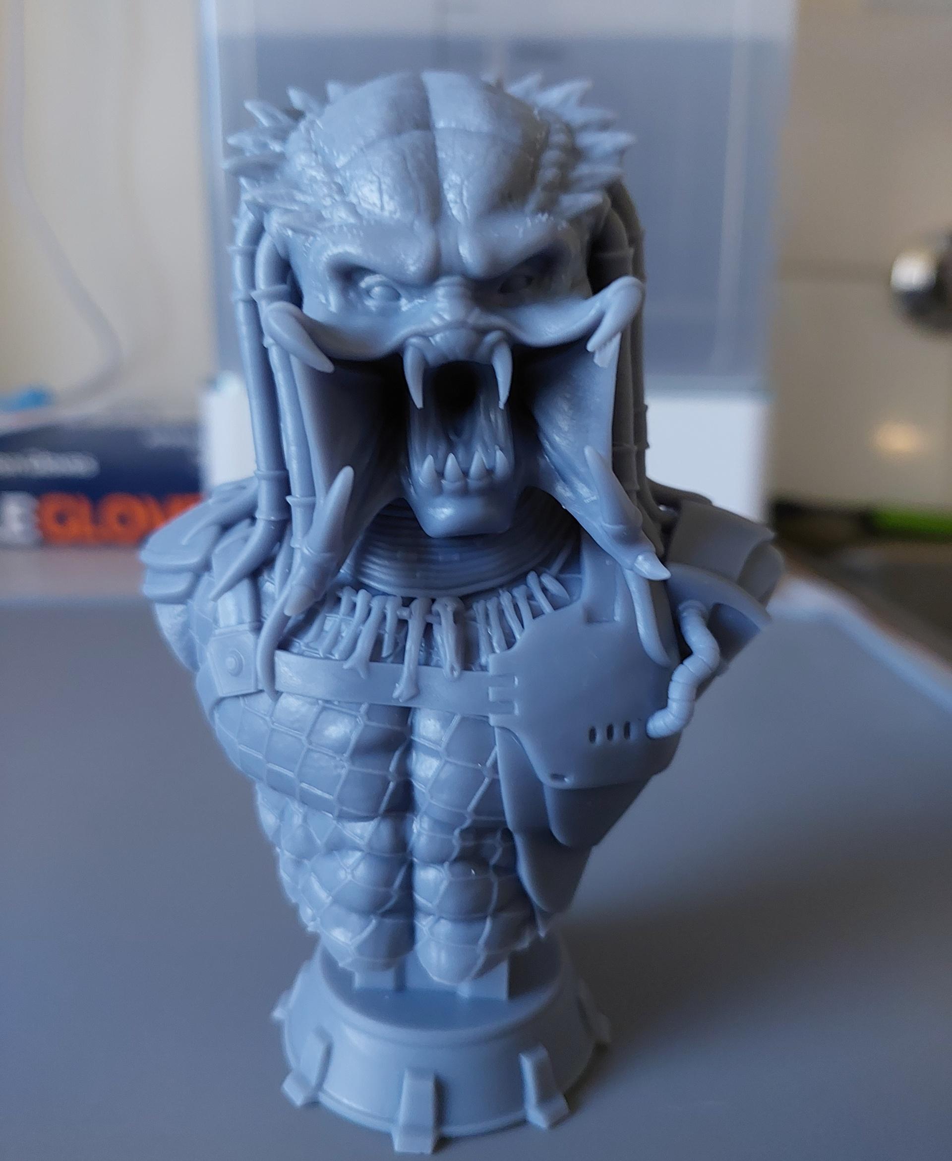 Predator Bust (Pre-Supported) - Saturn 3 Ultra, 0.02mm Layer Height - 3d model