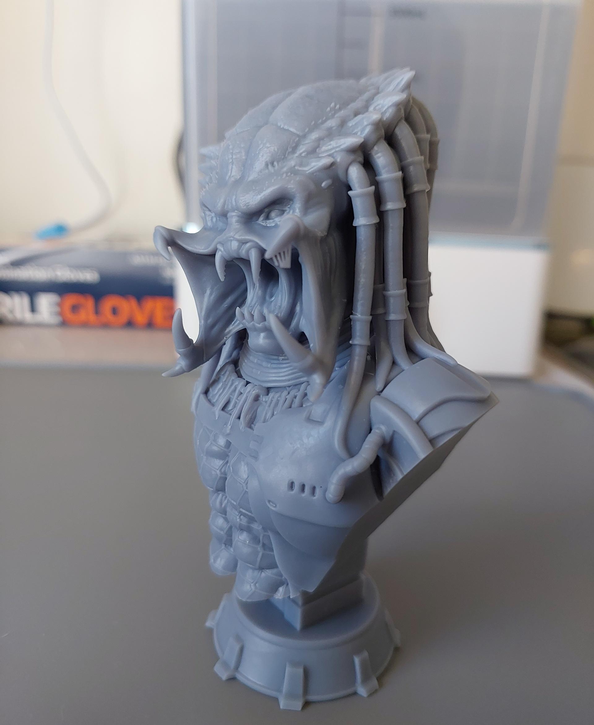 Predator Bust (Pre-Supported) - Saturn 3 Ultra, 0.02mm Layer Height - 3d model