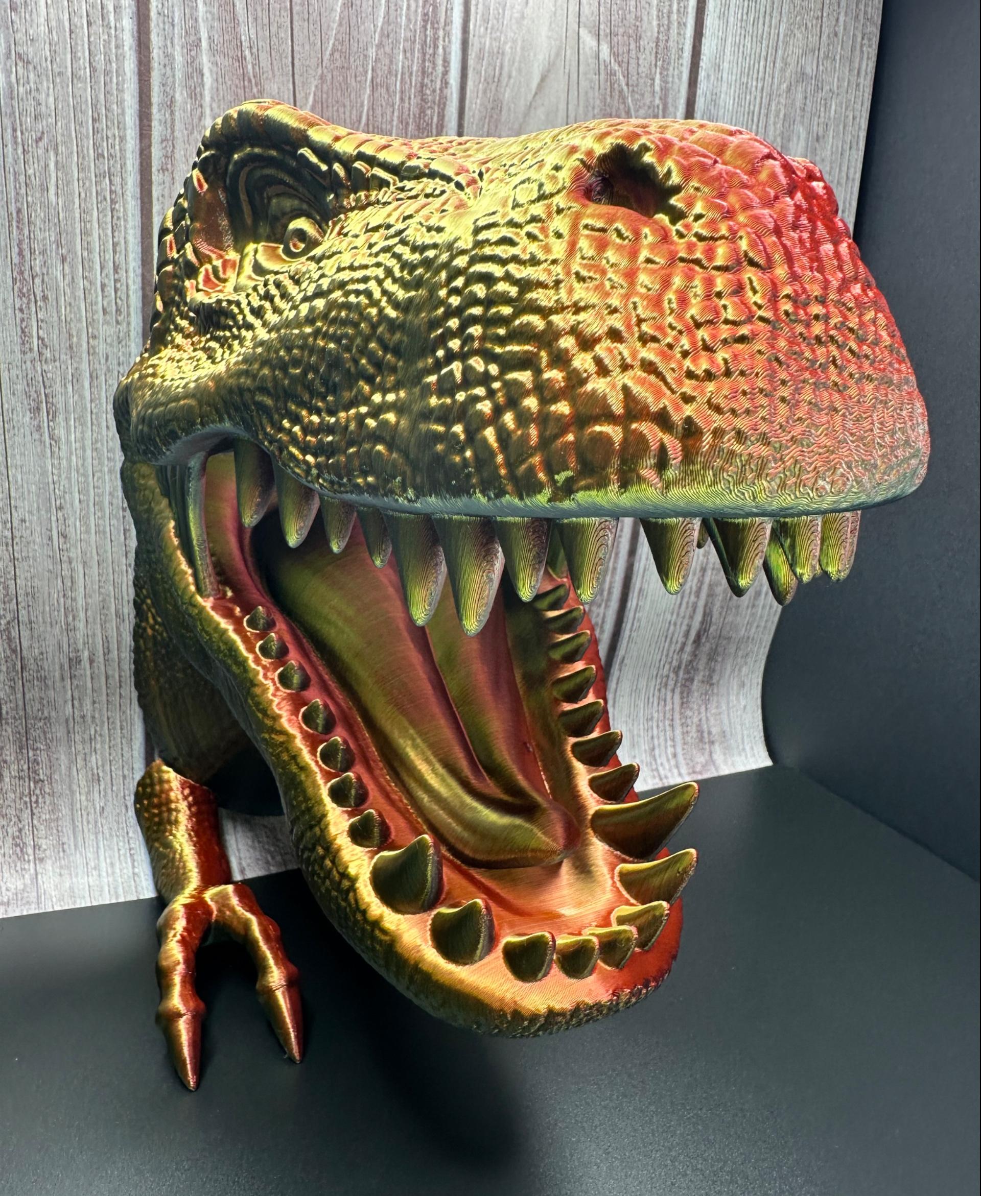 T-Rex Dinosaur Head Wall Mount Hanger / No Supports  3d model
