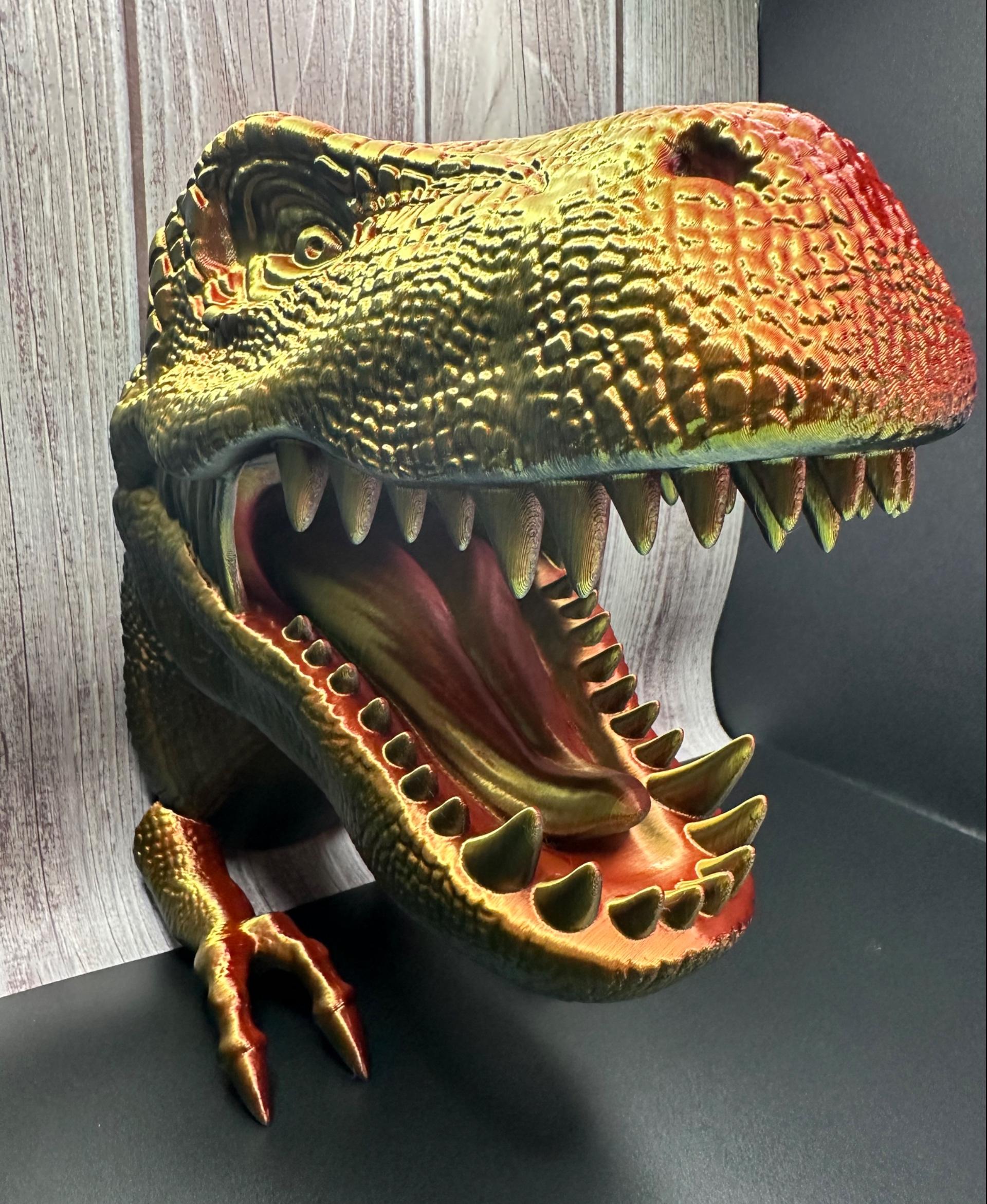 T-Rex Dinosaur Head Wall Mount Hanger / No Supports  3d model