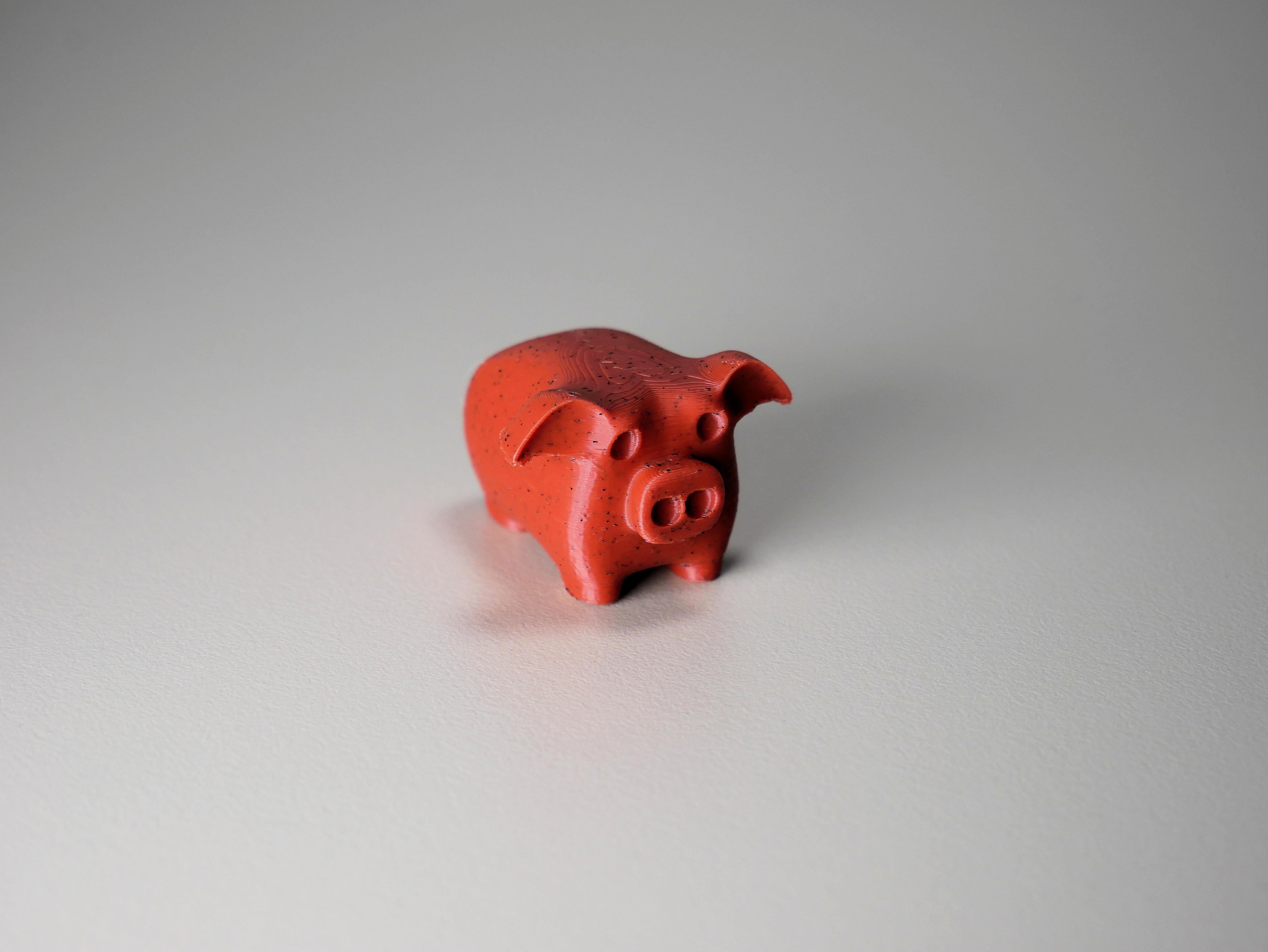 Tiny pig 3d model