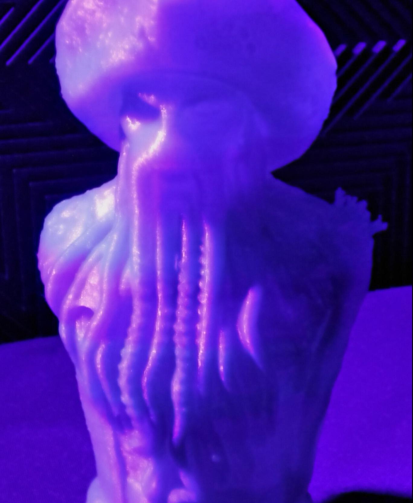 Davy Jones Bust (Pre-Supported) - under UV - 3d model