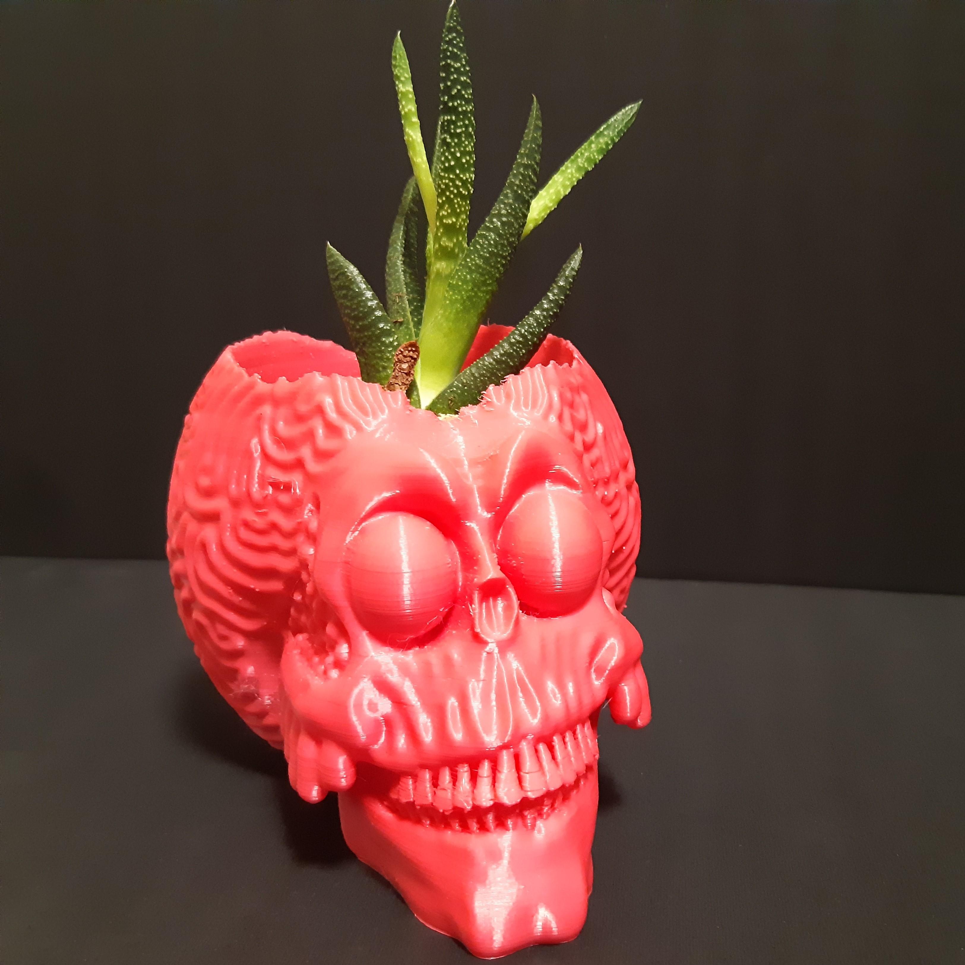 MARTIAN SKULL PLANTER - WITH OR WITHOUT DRAINAGE 3d model