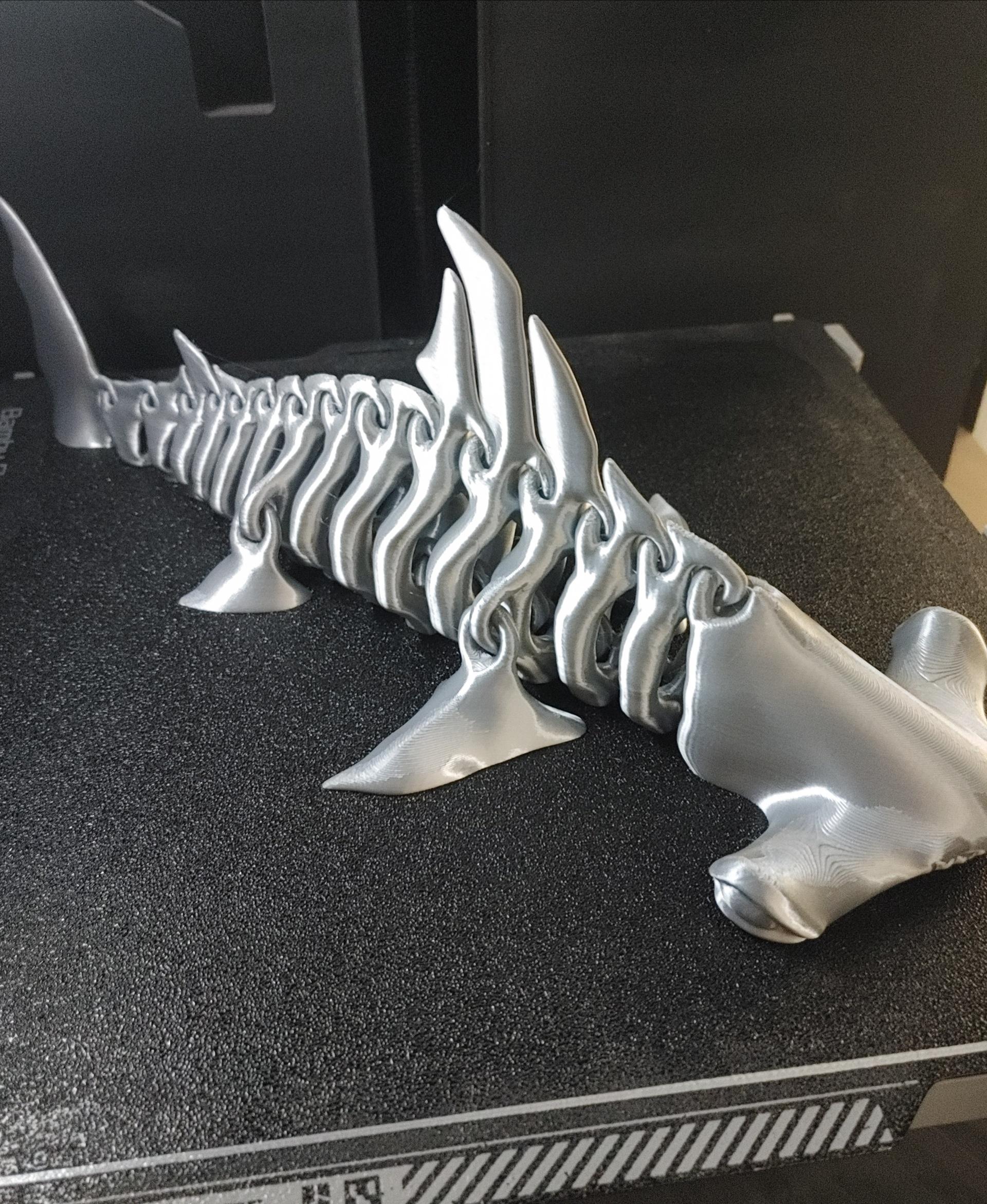 Hammerhead  Shark  Bones 3d model