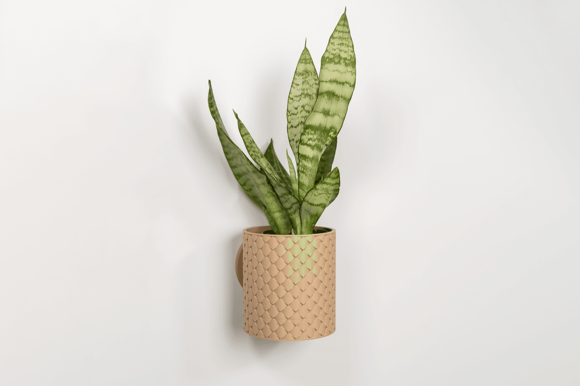 Quilted Planter 3d model