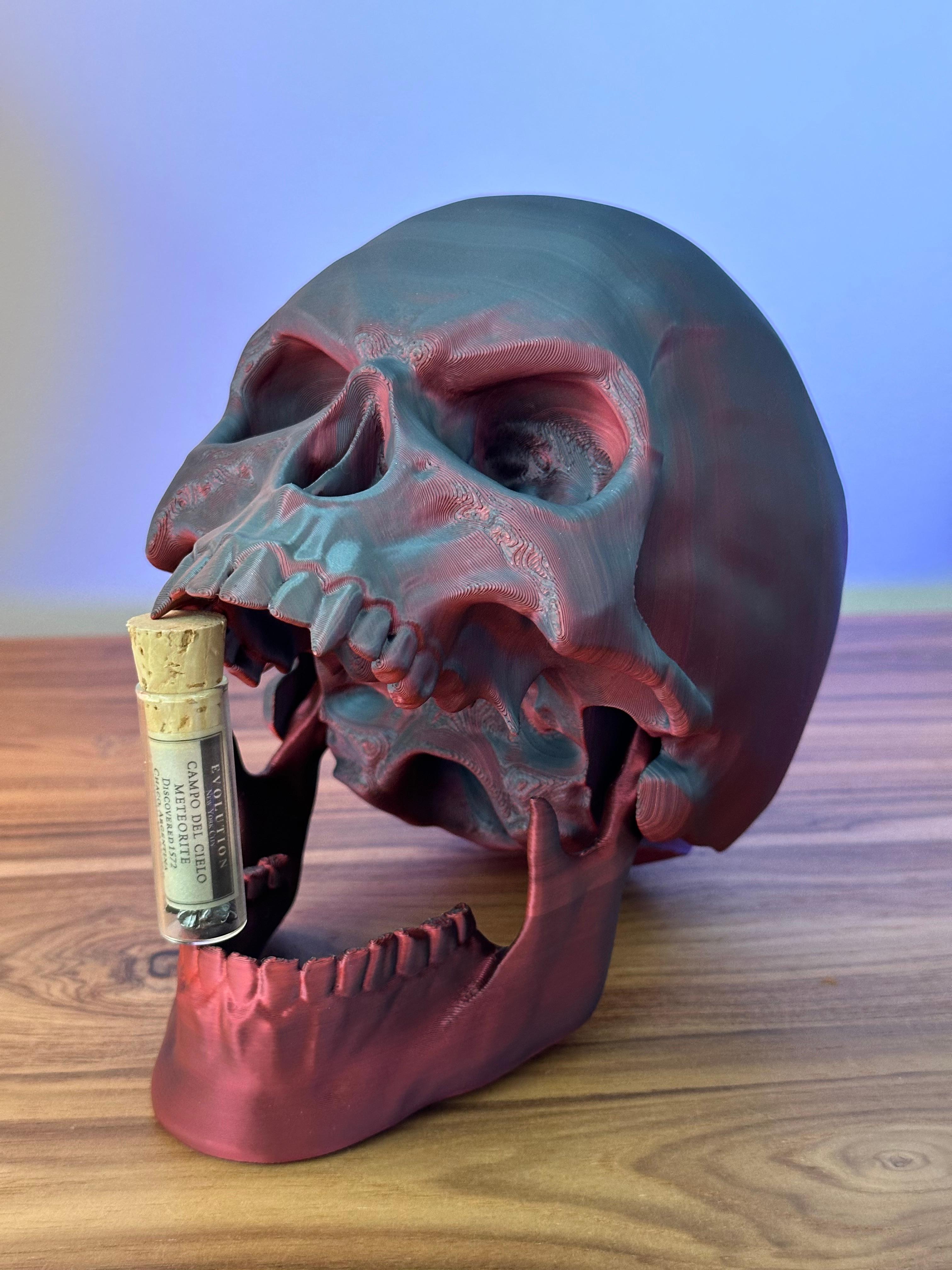 Articulated Skulls Print-in-Place 3d model