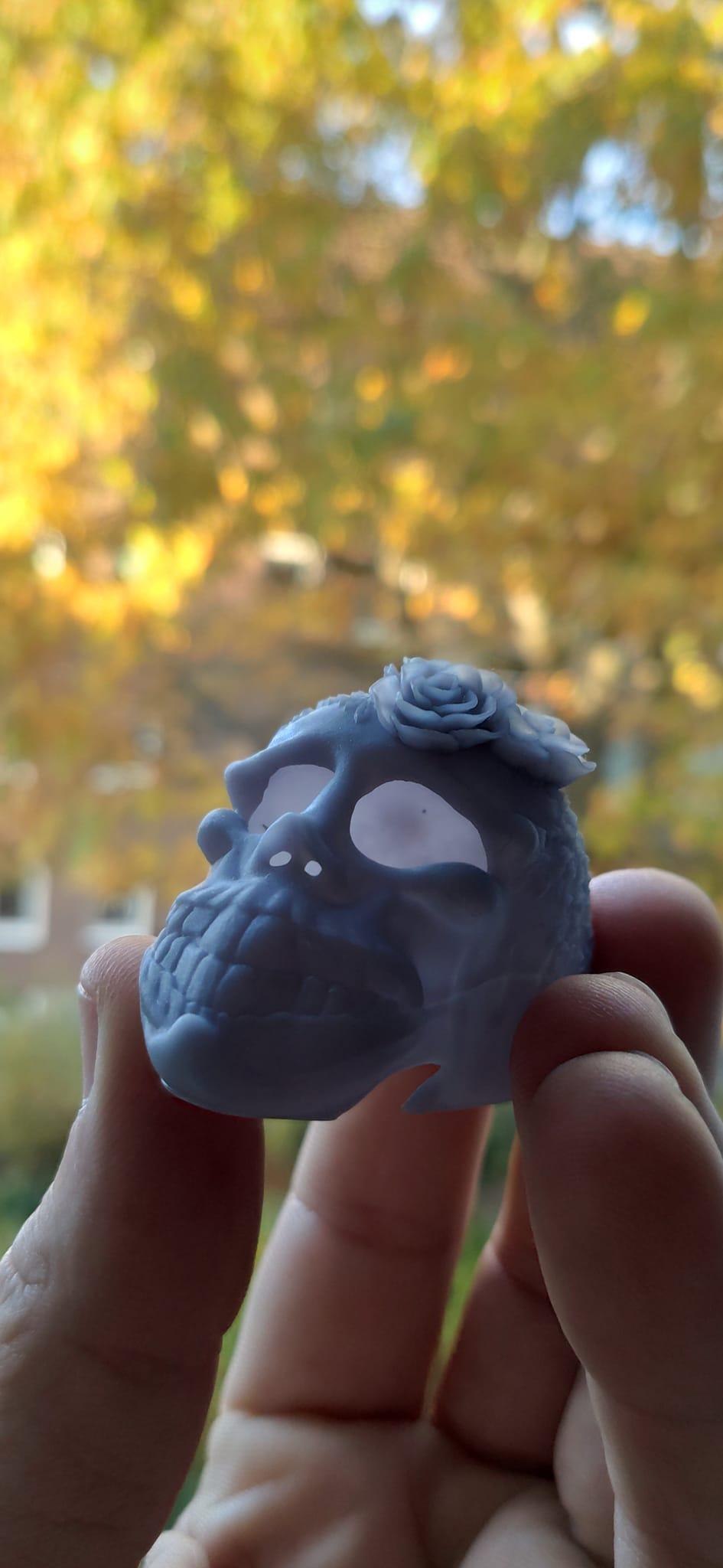 Flower Skull Art 🌸🌼🌺 3d model