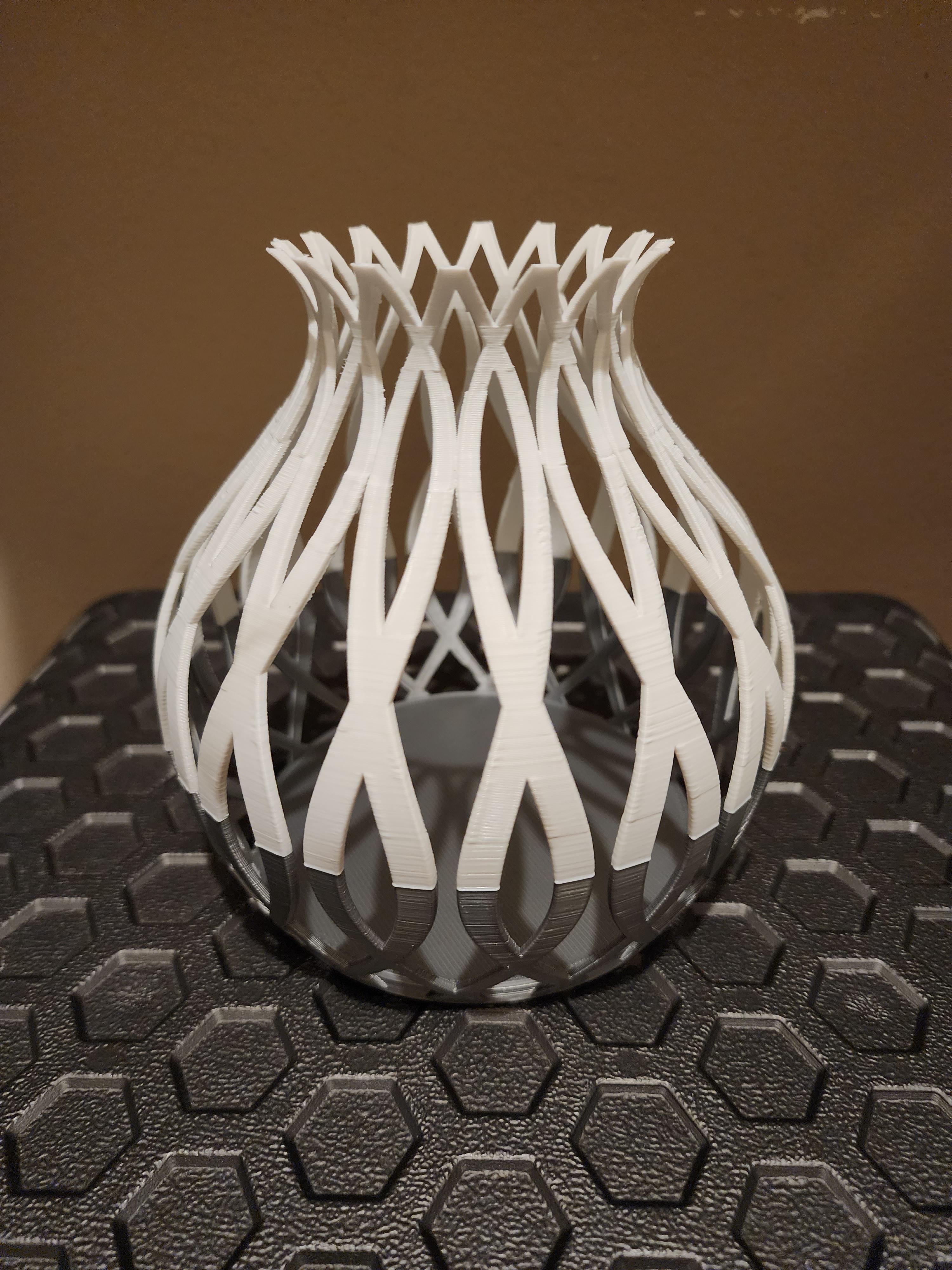 Spline Vase V1 3d model