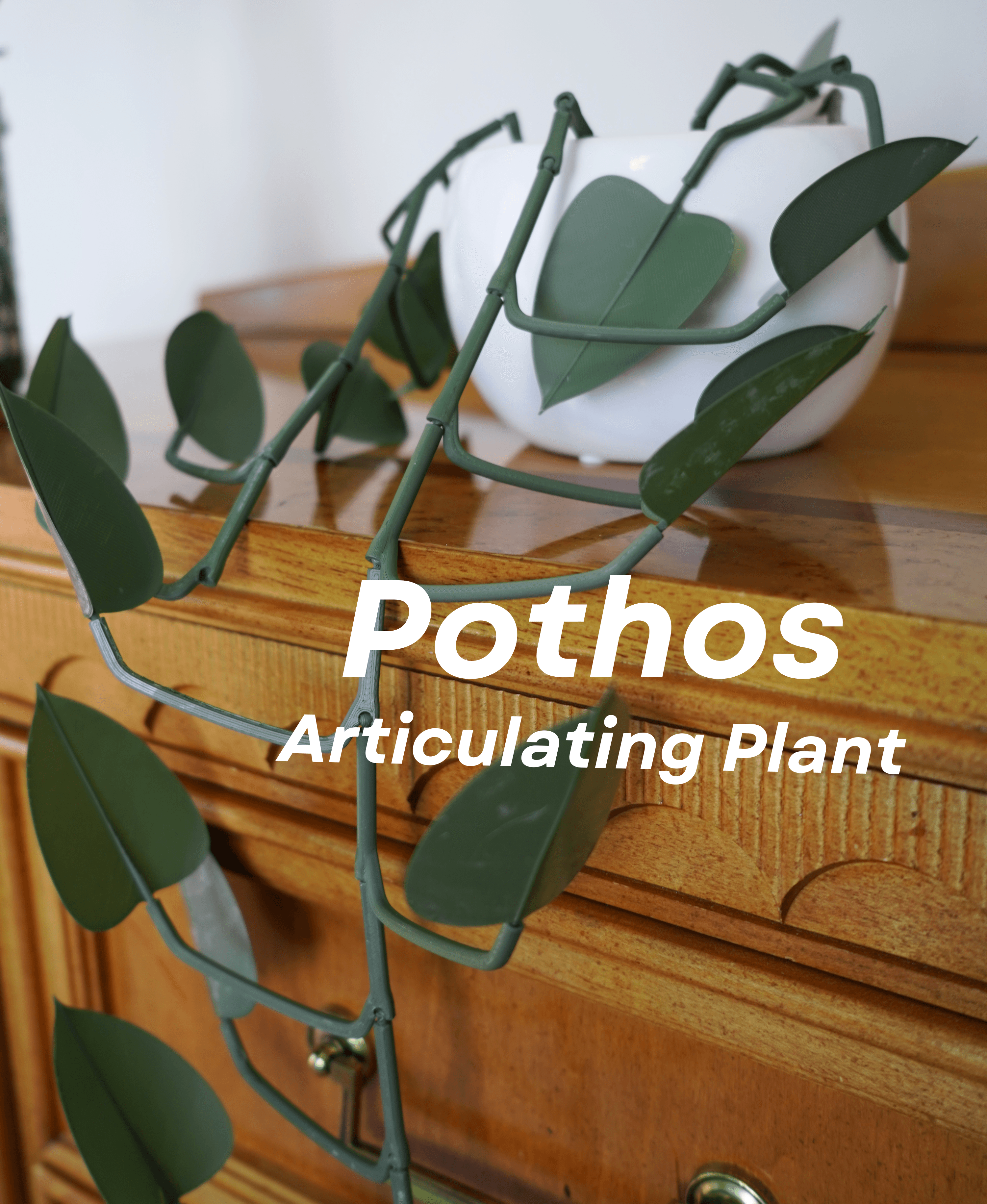 Pothos - Articulating Plant 3d model
