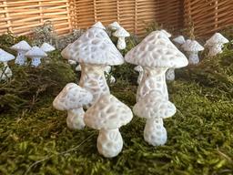 Stochastic Mushroom Magnets (Large)