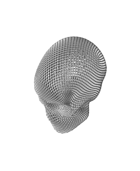 Lattice Skull Diamond 3d model
