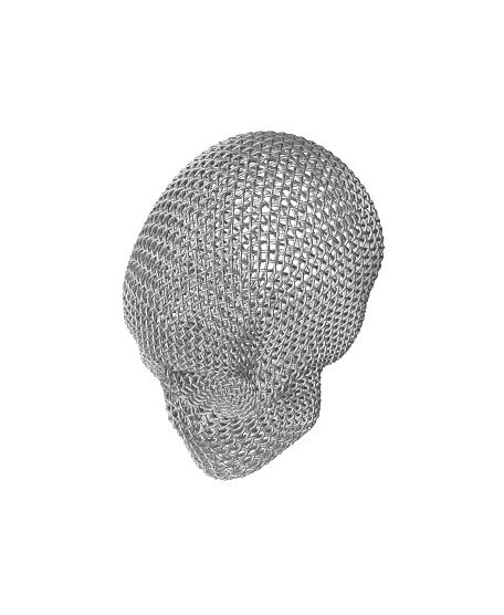 Lattice Skull Wire Weave 3d model