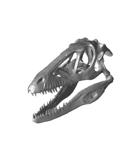 Velociraptor skull 3d model